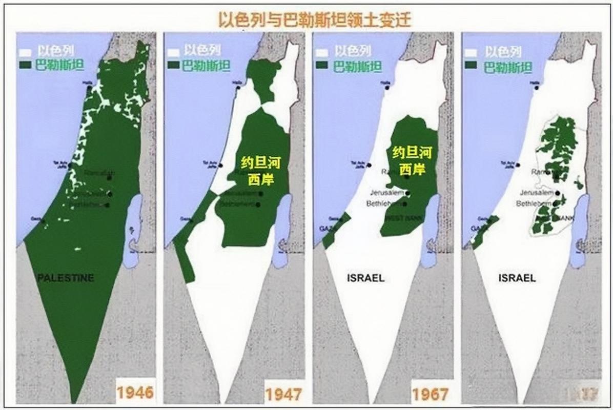 中国vs巴勒斯坦在哪看