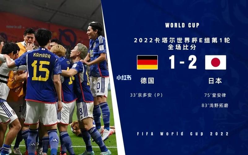 德国vs日本边界球视频