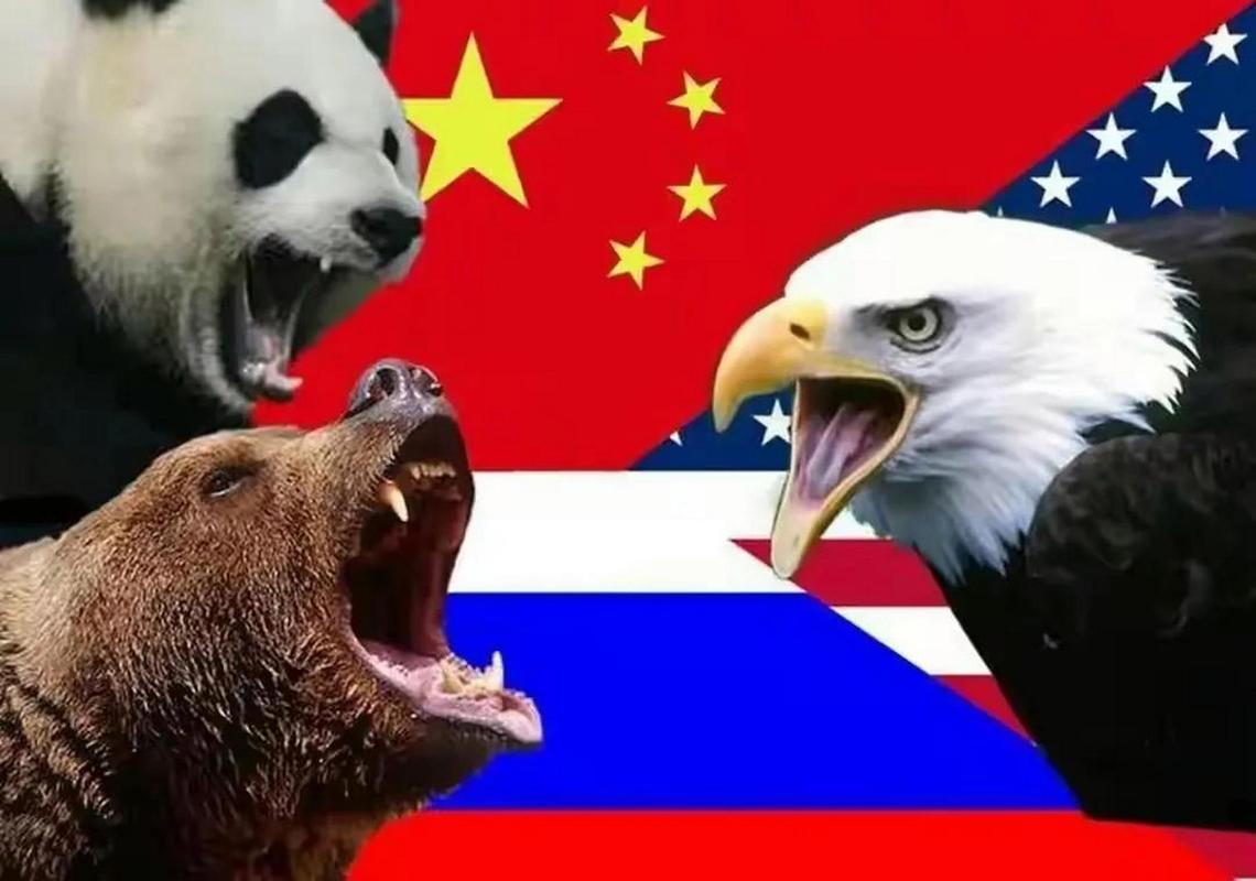 美国鹰vs中国熊猫