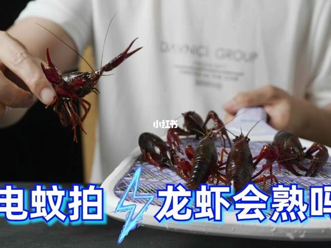 中国蚂蚁vs中国小龙虾的相关图片