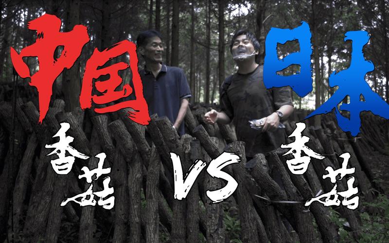 日本vs中国纪录片完整版的相关图片